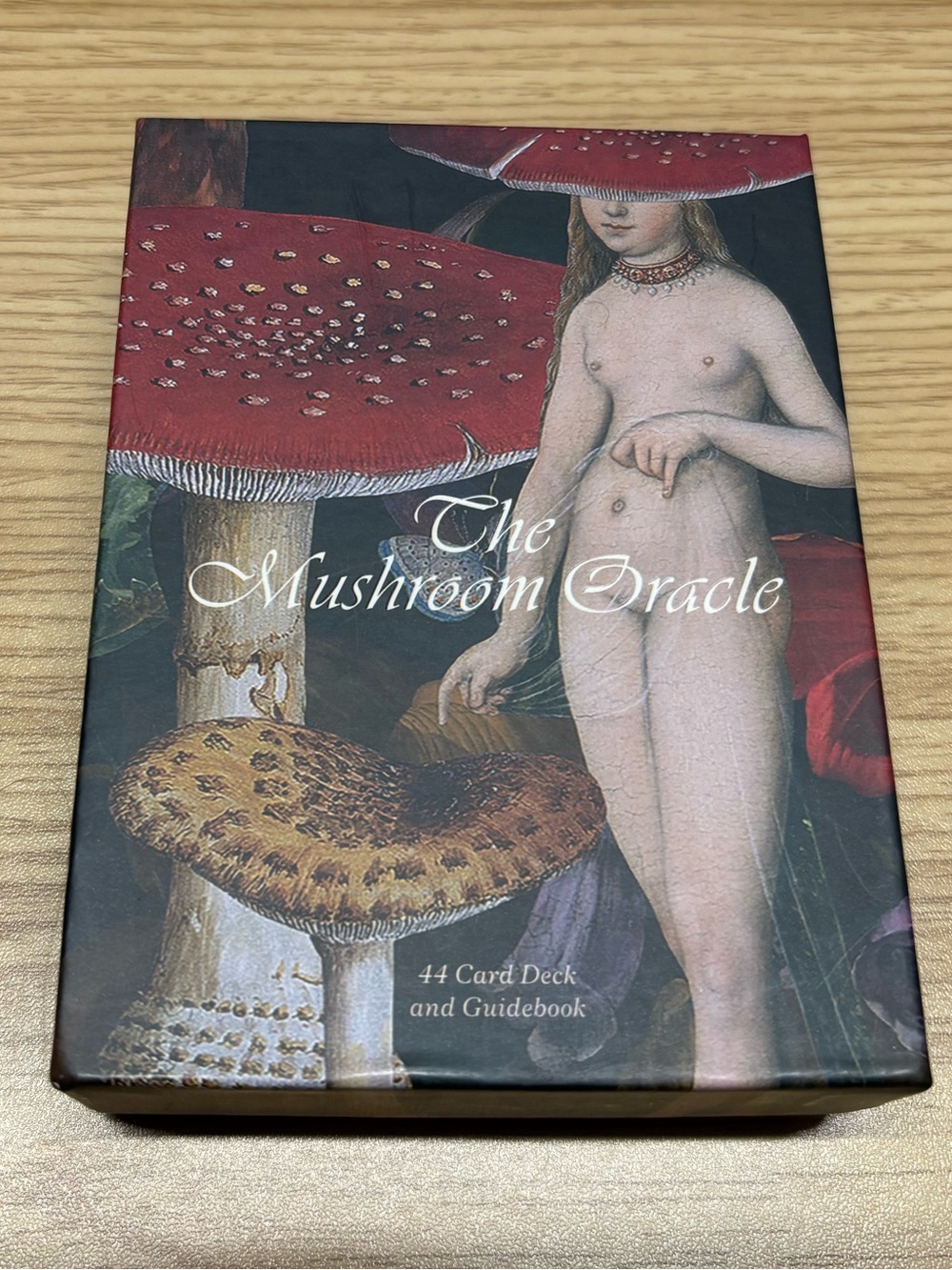 The Mushroom Oracle Card Deck & Guidebook - Red Accent
